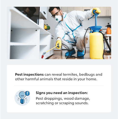 Types Of Home Inspections A Complete Guide Quicken Loans